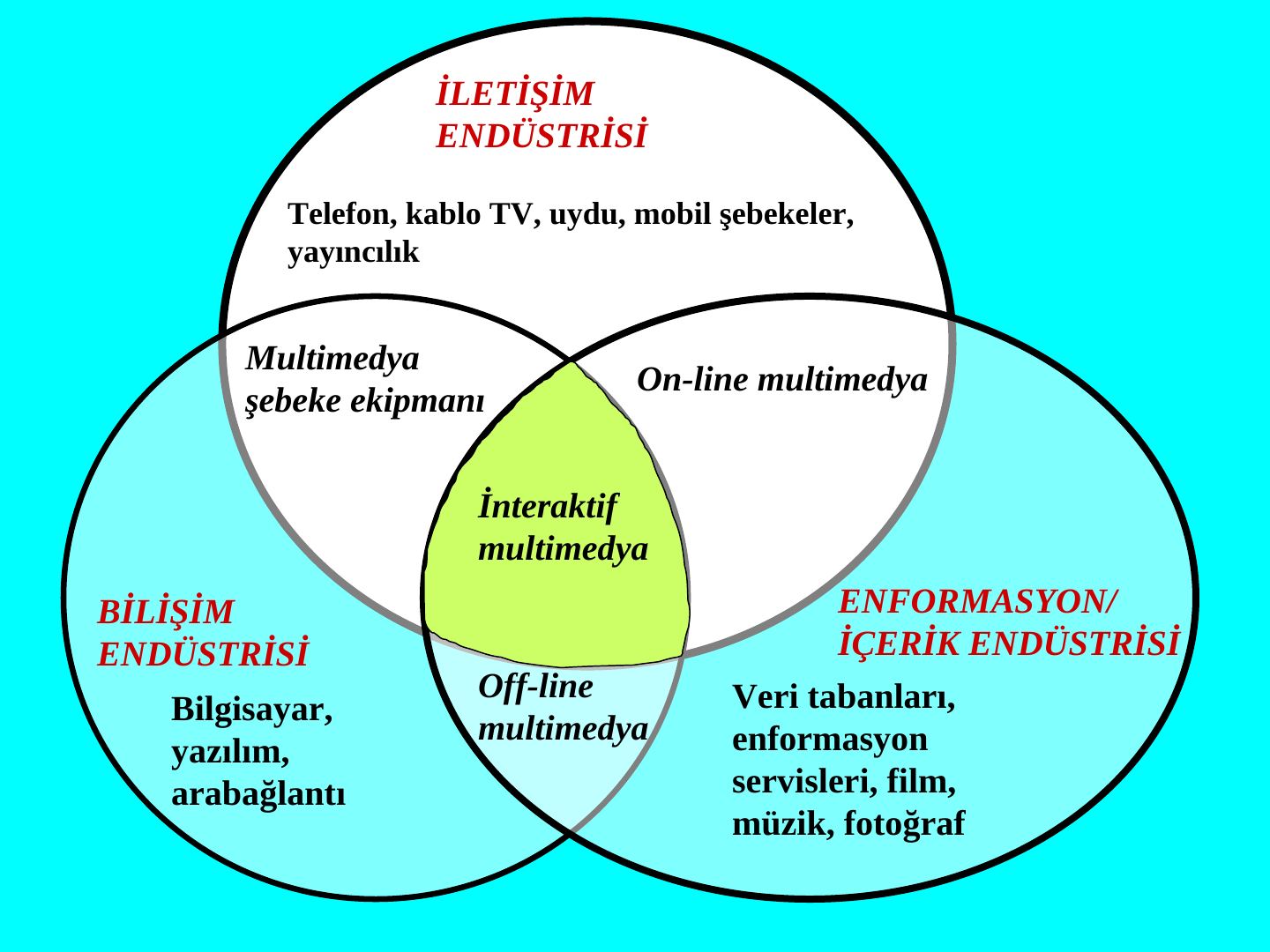 Üç daireli Venn şeması: iletişim, bilişim ve enformasyon/içerik endüstrileri ve ortada interaktif multimedya