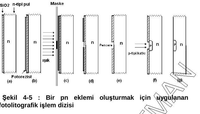Şekil 4-5: (a)–(g) adımlarında n-tipi pul, SiO₂, fotorezist, maske ve ışık, pencere açma ve p-tipi katkı bölgesinin oluşumu
