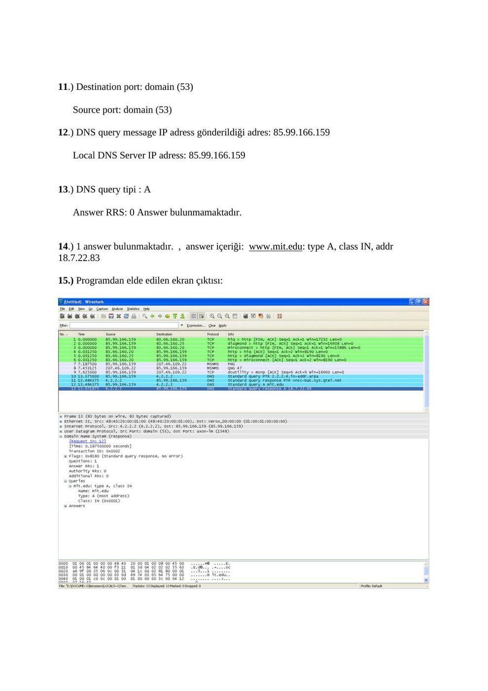 DNS raporu A: şekil ve hesap tabloları, sayfa 4