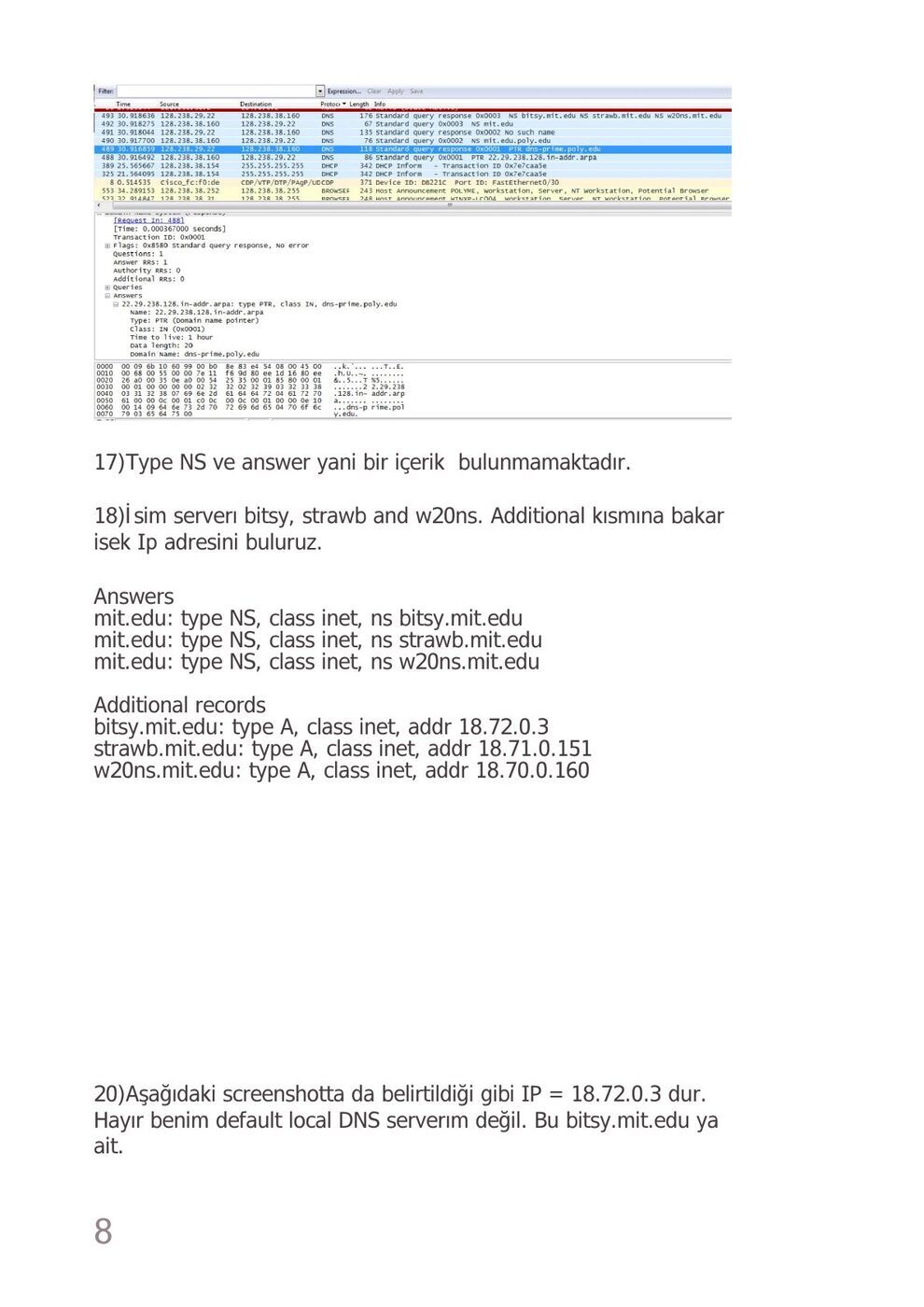 DNS raporu B: şekil ve hesap tabloları, sayfa 8