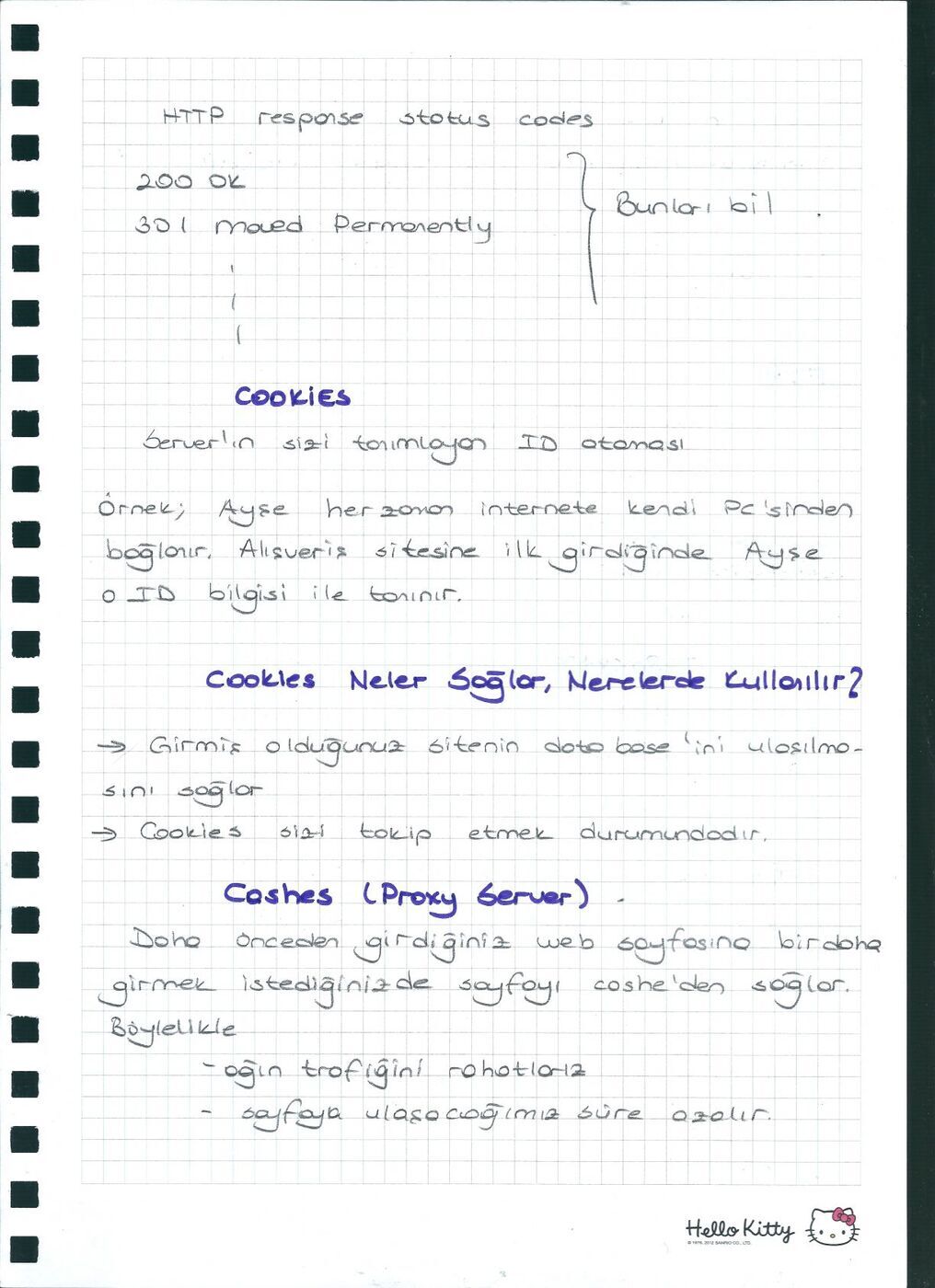 HTTP, çerezler, önbellek ve FTP — el yazısı, sayfa 12