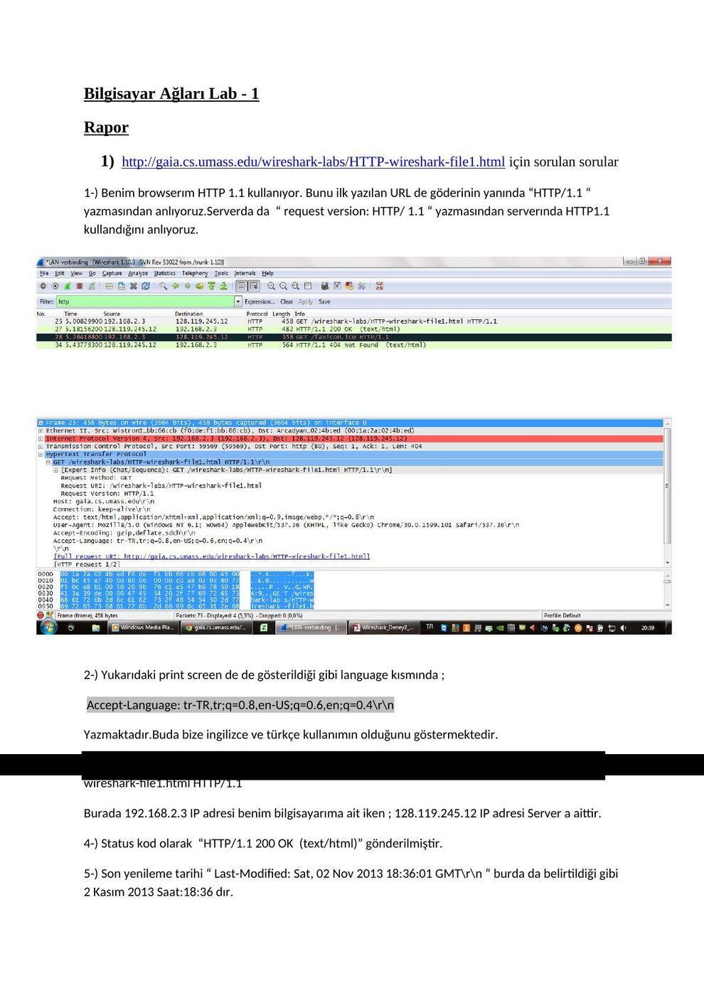 HTTP raporu: şekil ve hesap tabloları, sayfa 1