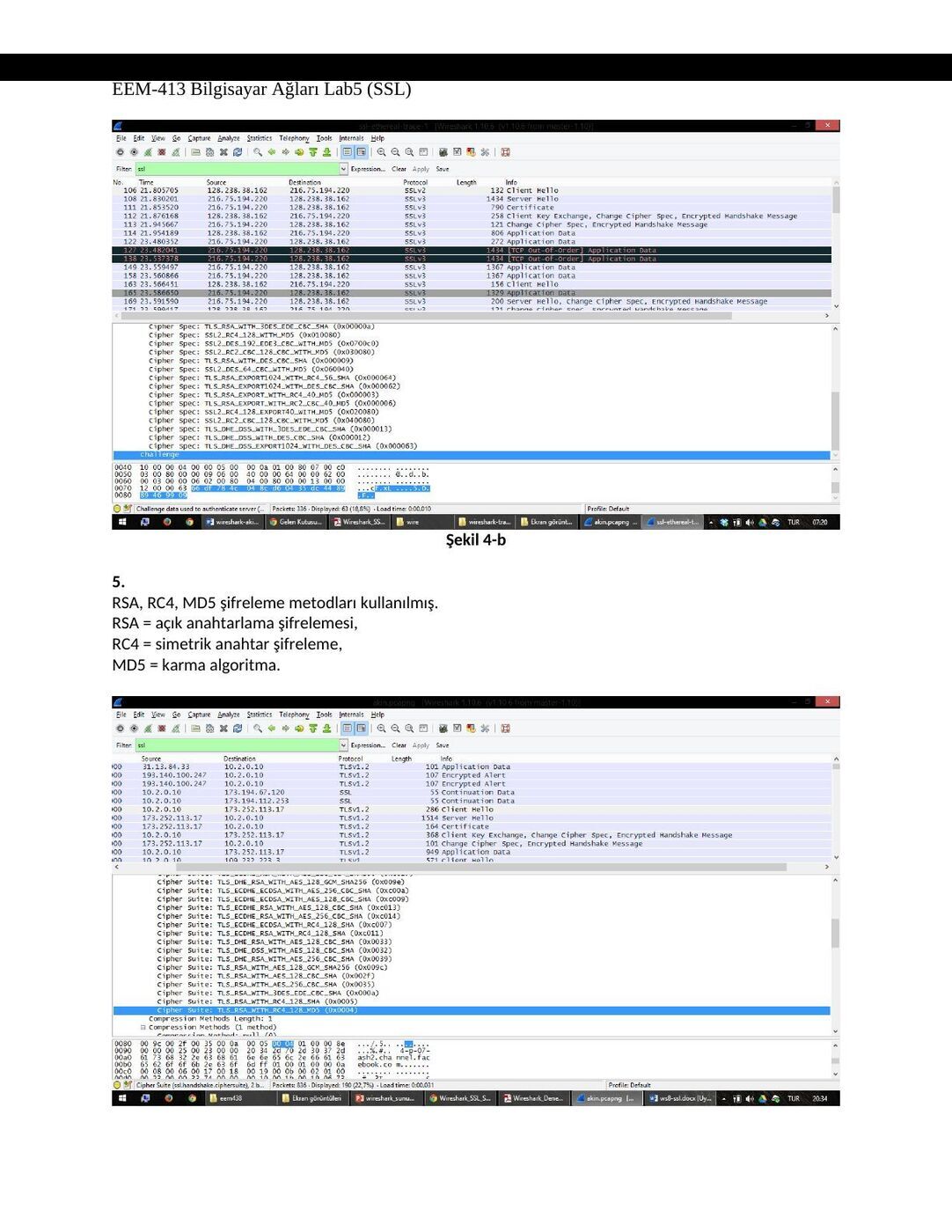 SSL raporu B: şekil ve hesap tabloları, sayfa 4