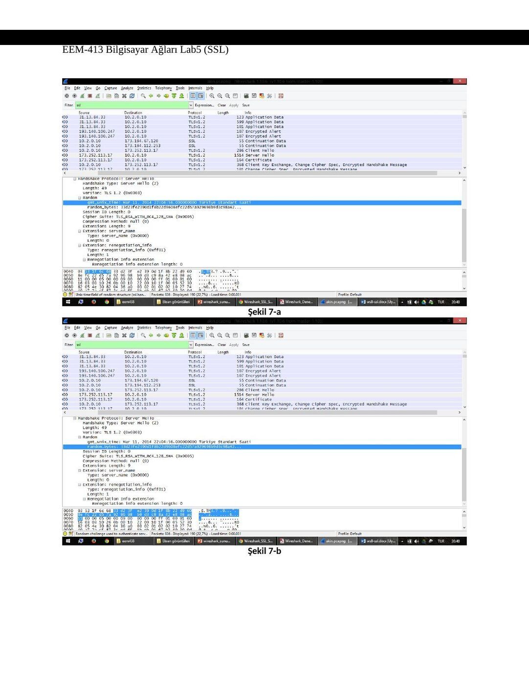 SSL raporu B: şekil ve hesap tabloları, sayfa 6