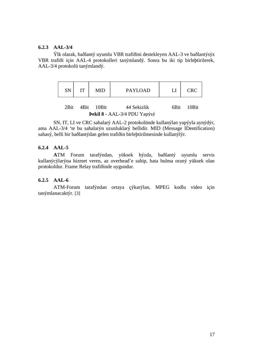 ATM staj seminer raporu, Ege Üniversitesi, 1996: şekil ve hesap tabloları, sayfa 17