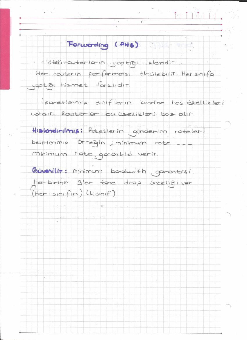 DiffServ, IntServ ve RSVP — el yazısı, sayfa 2