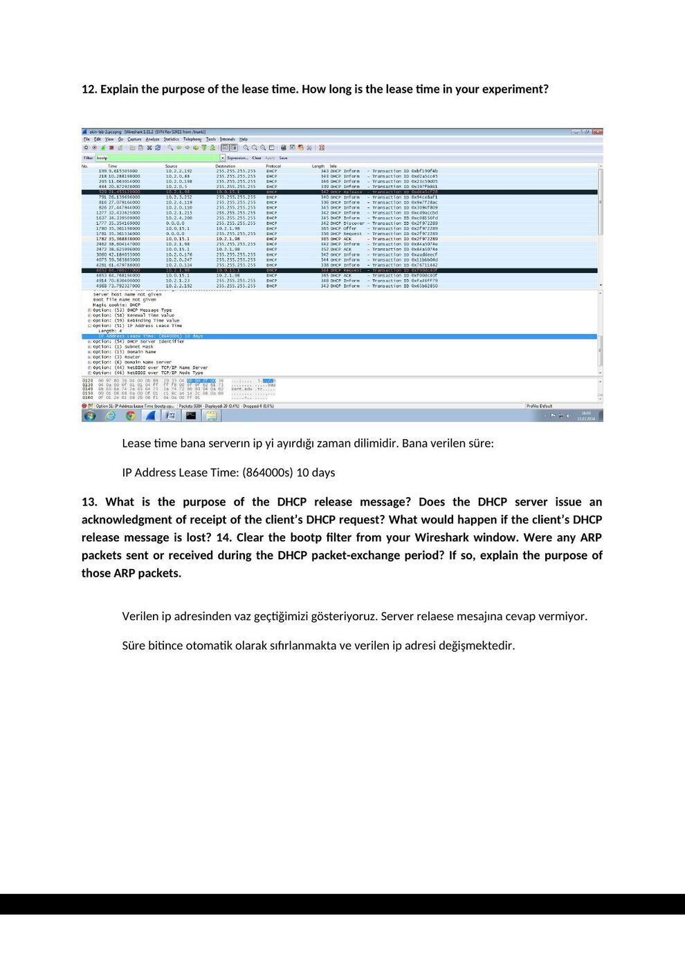 DHCP raporu B: şekil ve hesap tabloları, sayfa 12