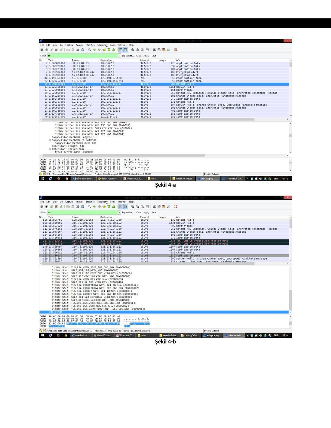 SSL raporu, 6 Mart 2014: şekil ve hesap tabloları, sayfa 4