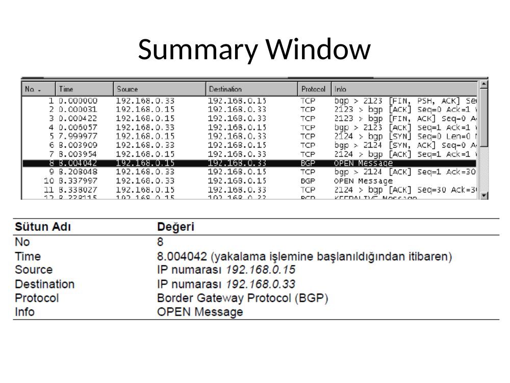 wireshark sunum: şekil ve hesap tabloları, sayfa 8