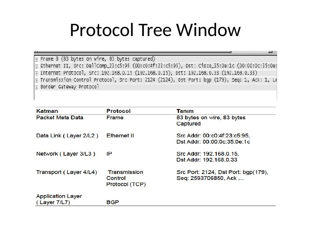 wireshark sunum: şekil ve hesap tabloları, sayfa 10