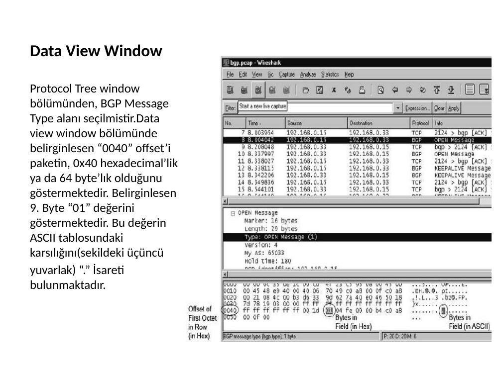 wireshark sunum: şekil ve hesap tabloları, sayfa 12
